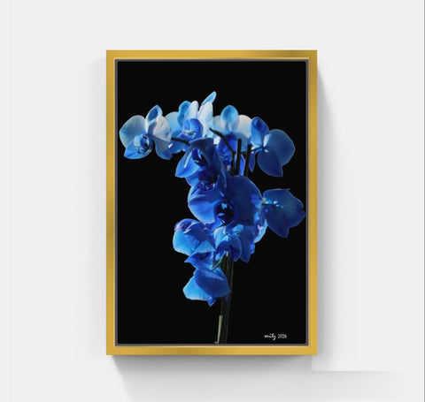 Azure Elegance