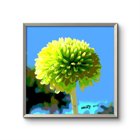 Skyward Blossoms