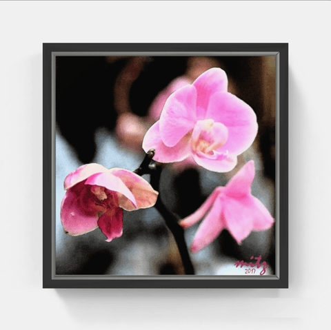 Orchid Pink F