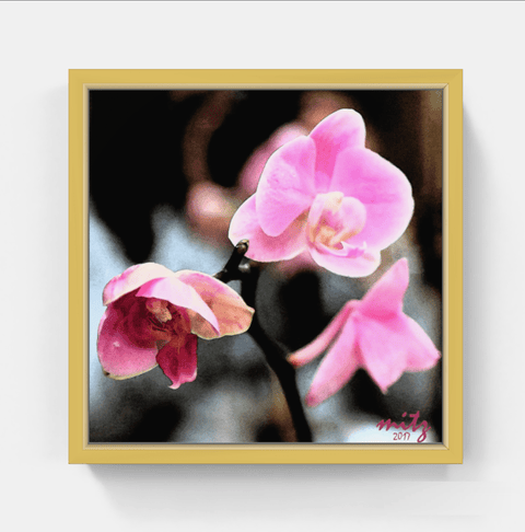 Orchid Pink F