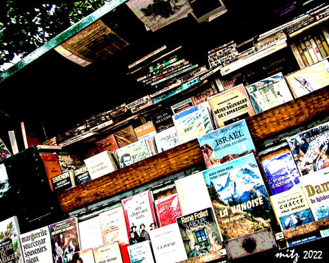 Paris Bookshelf