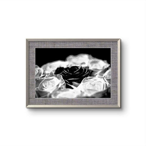 Rose 2 bw