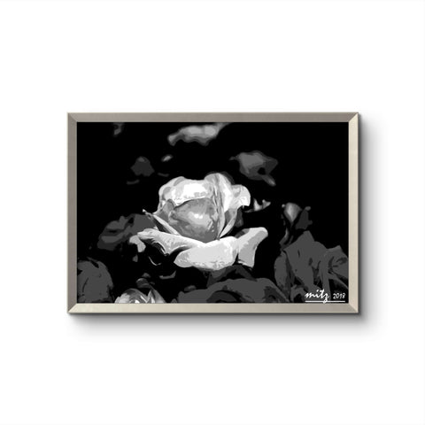 Rose P BW