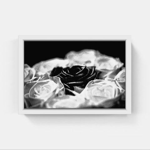 Rose 2 bw