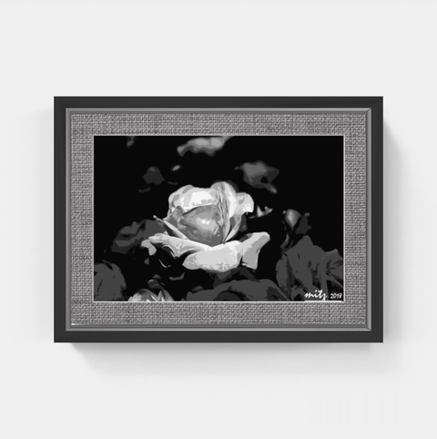 Rose P BW