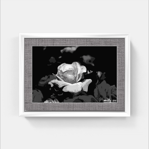 Rose P BW