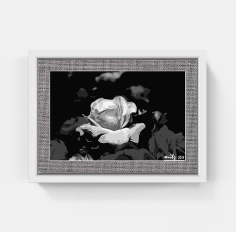 Rose P BW