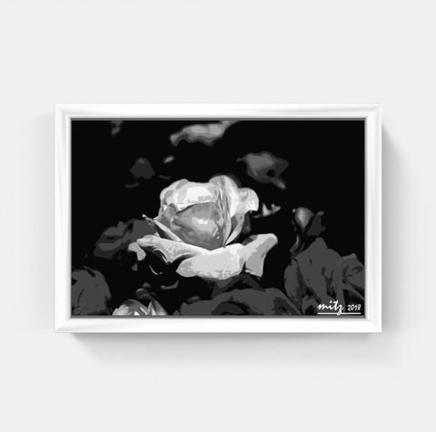 Rose P BW