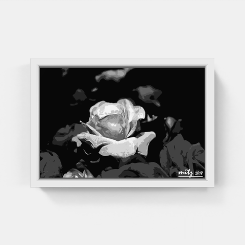 Rose P BW