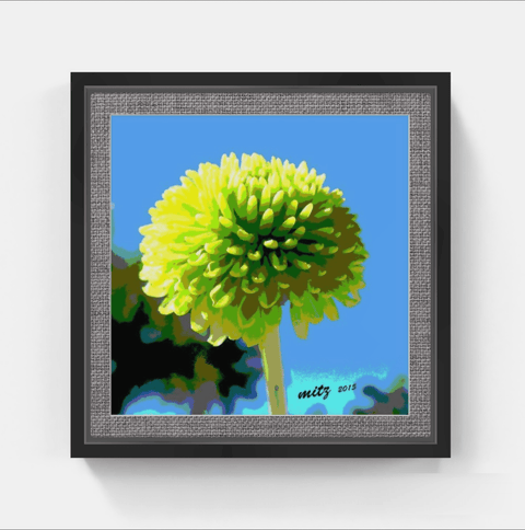 Skyward Blossoms