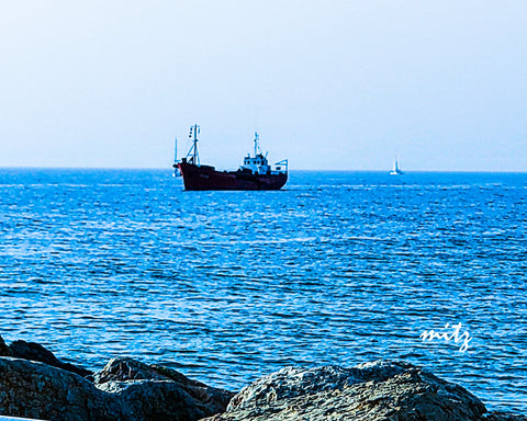 Coastal Herzliya