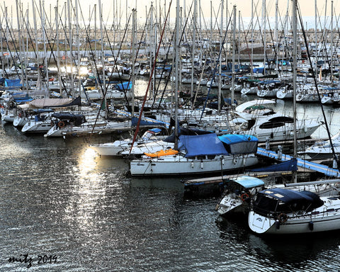 Herzeliya Harbour