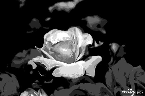 Rose P BW